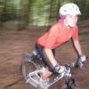 Bikešvih Toulovcovy maštale