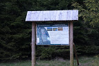 Rašeliniště pod Zielencem